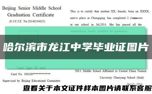 哈尔滨市龙江中学毕业证图片缩略图