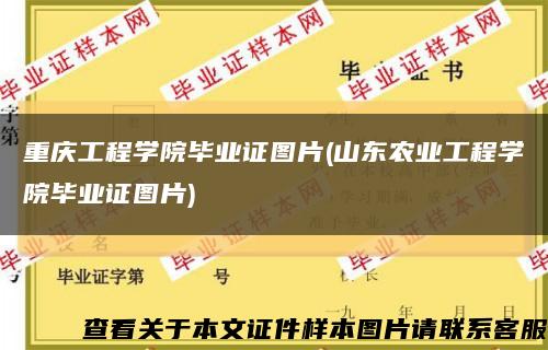 重庆工程学院毕业证图片(山东农业工程学院毕业证图片)缩略图