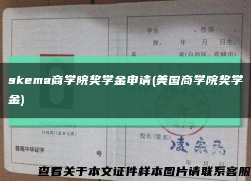 skema商学院奖学金申请(美国商学院奖学金)缩略图