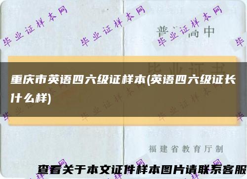 重庆市英语四六级证样本(英语四六级证长什么样)缩略图