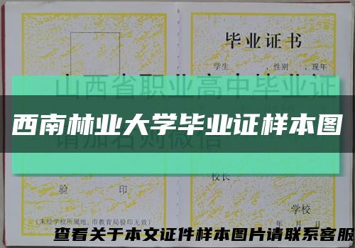 西南林业大学毕业证样本图缩略图