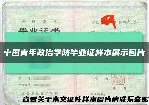 中国青年政治学院毕业证样本展示图片缩略图