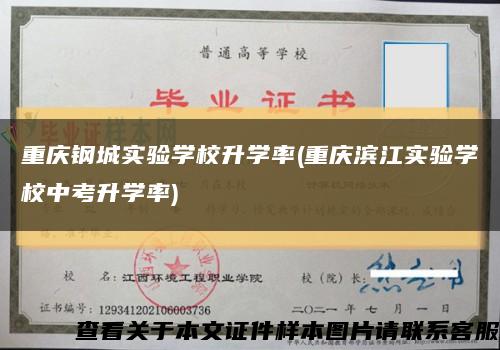 重庆钢城实验学校升学率(重庆滨江实验学校中考升学率)缩略图