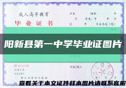 阳新县第一中学毕业证图片缩略图