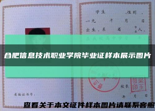 合肥信息技术职业学院毕业证样本展示图片缩略图