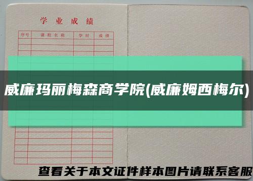 威廉玛丽梅森商学院(威廉姆西梅尔)缩略图