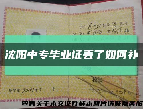 沈阳中专毕业证丢了如何补缩略图