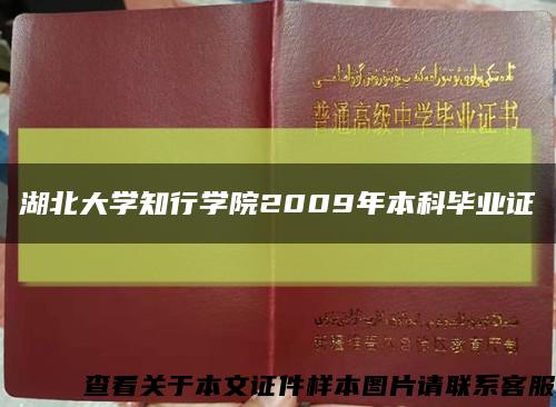 湖北大学知行学院2009年本科毕业证缩略图