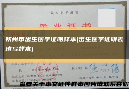 钦州市出生医学证明样本(出生医学证明表填写样本)缩略图