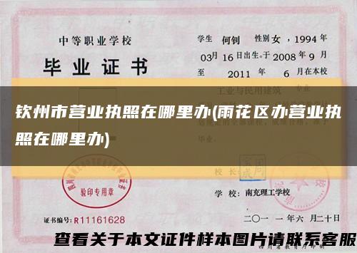 钦州市营业执照在哪里办(雨花区办营业执照在哪里办)缩略图