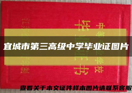 宜城市第三高级中学毕业证图片缩略图