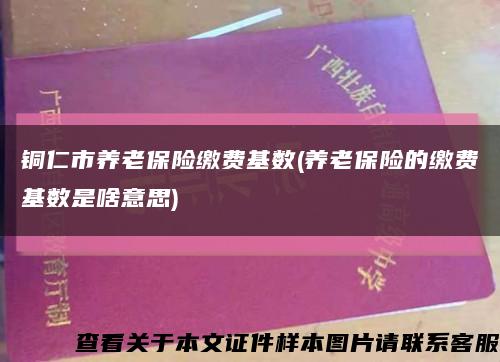 铜仁市养老保险缴费基数(养老保险的缴费基数是啥意思)缩略图