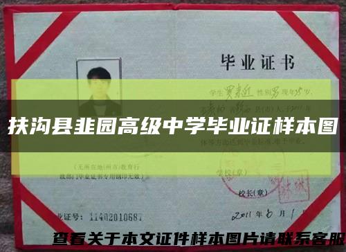 扶沟县韭园高级中学毕业证样本图缩略图