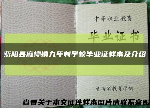 紫阳县麻柳镇九年制学校毕业证样本及介绍缩略图