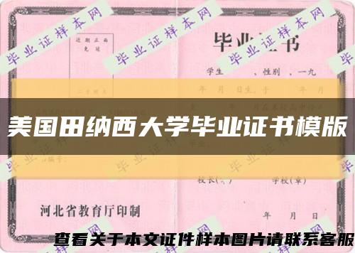 美国田纳西大学毕业证书模版缩略图