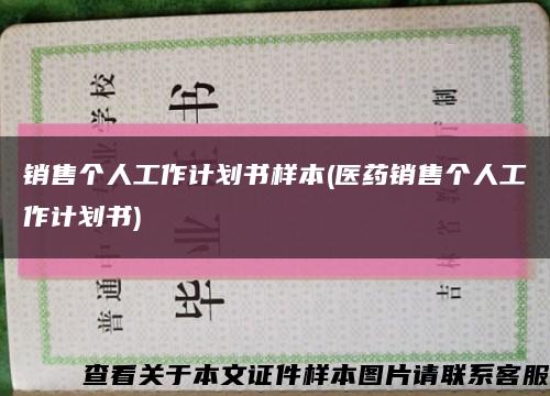 销售个人工作计划书样本(医药销售个人工作计划书)缩略图