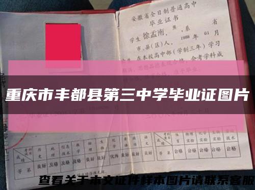 重庆市丰都县第三中学毕业证图片缩略图