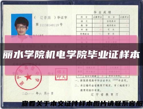 丽水学院机电学院毕业证样本缩略图