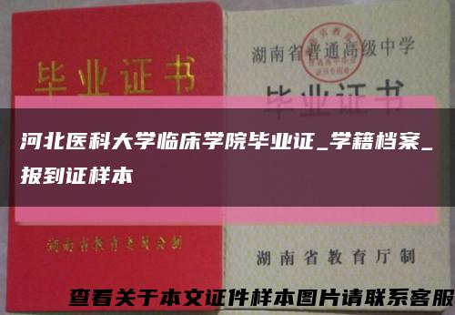 河北医科大学临床学院毕业证_学籍档案_报到证样本缩略图