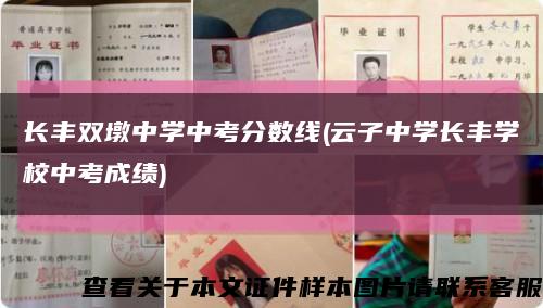长丰双墩中学中考分数线(云子中学长丰学校中考成绩)缩略图