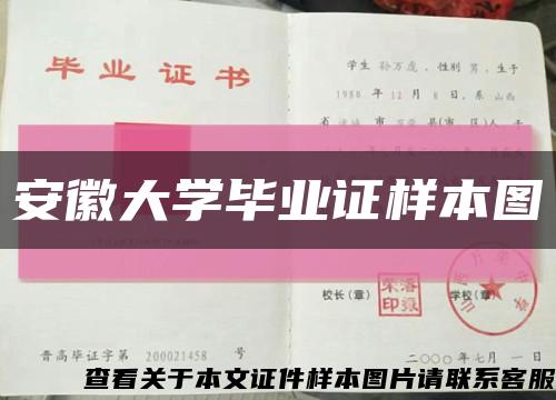 安徽大学毕业证样本图缩略图