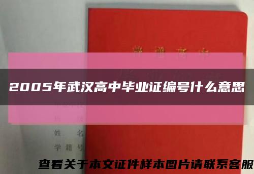 2005年武汉高中毕业证编号什么意思缩略图