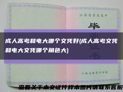 成人高考和电大哪个文凭好(成人高考文凭和电大文凭哪个角色大)缩略图