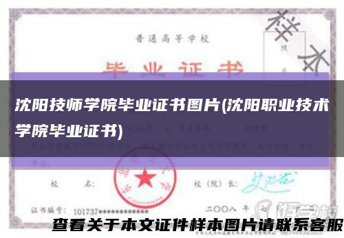 沈阳技师学院毕业证书图片(沈阳职业技术学院毕业证书)缩略图