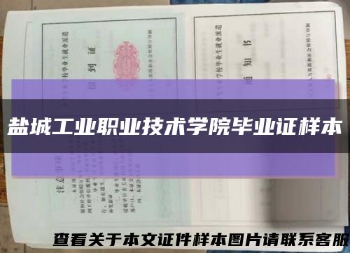 盐城工业职业技术学院毕业证样本缩略图