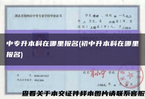 中专升本科在哪里报名(初中升本科在哪里报名)缩略图