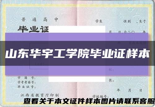 山东华宇工学院毕业证样本缩略图