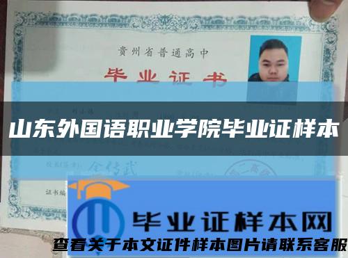 山东外国语职业学院毕业证样本缩略图