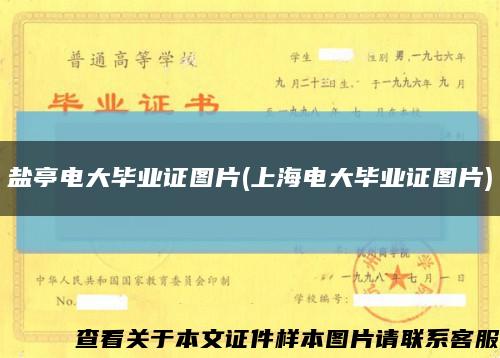 盐亭电大毕业证图片(上海电大毕业证图片)缩略图