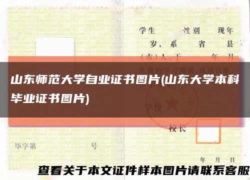 山东师范大学自业证书图片(山东大学本科毕业证书图片)缩略图