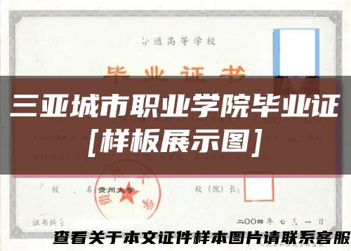 三亚城市职业学院毕业证
[样板展示图]缩略图