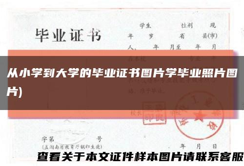 从小学到大学的毕业证书图片学毕业照片图片)缩略图