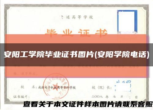 安阳工学院毕业证书图片(安阳学院电话)缩略图