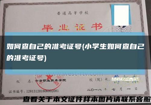 如何查自己的准考证号(小学生如何查自己的准考证号)缩略图