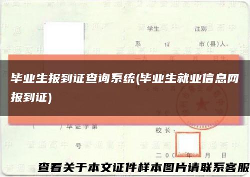 毕业生报到证查询系统(毕业生就业信息网报到证)缩略图