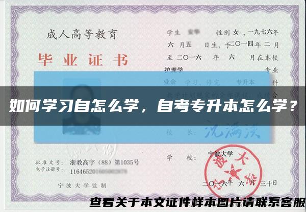 如何学习自怎么学，自考专升本怎么学？缩略图