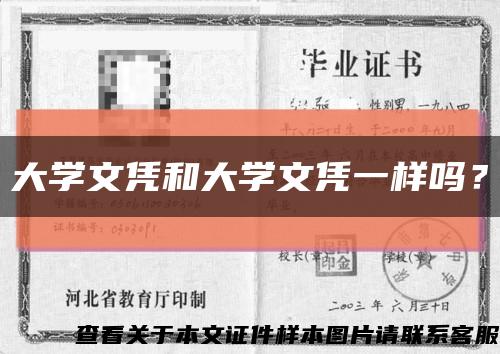 大学文凭和大学文凭一样吗？缩略图