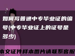 如何写普通中专毕业证的编号(中专毕业证上的证号是多少)缩略图