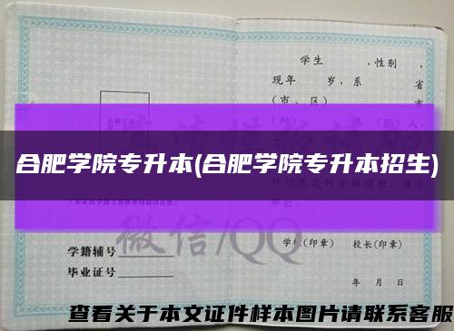 合肥学院专升本(合肥学院专升本招生)缩略图