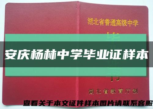安庆杨林中学毕业证样本缩略图