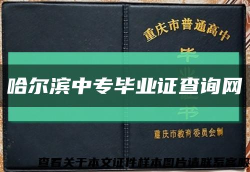 哈尔滨中专毕业证查询网缩略图