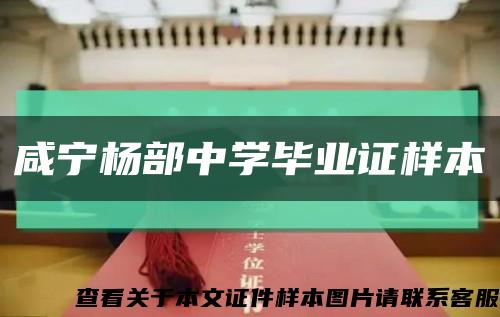 咸宁杨部中学毕业证样本缩略图