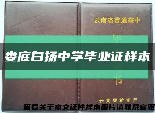 娄底白扬中学毕业证样本缩略图