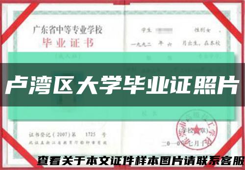 卢湾区大学毕业证照片缩略图