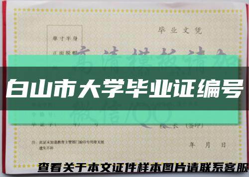 白山市大学毕业证编号缩略图