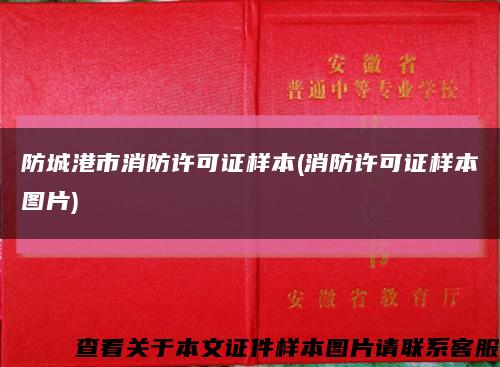 防城港市消防许可证样本(消防许可证样本图片)缩略图